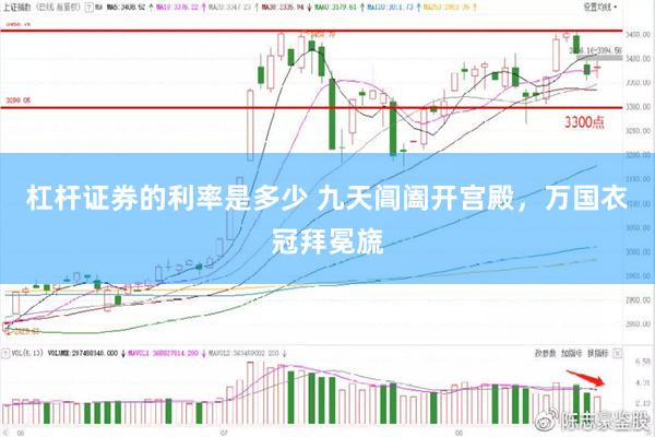 杠杆证券的利率是多少 九天阊阖开宫殿，万国衣冠拜冕旒