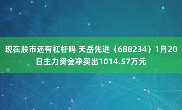 现在股市还有杠杆吗 天岳先进（688234）1月20日主力资金净卖出1014.57万元