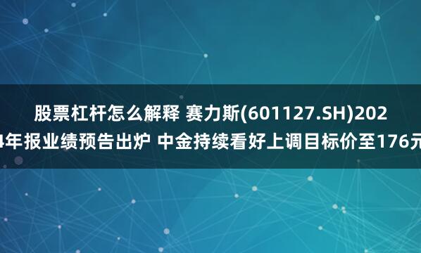 股票杠杆怎么解释 赛力斯(601127.SH)2024年报业绩预告出炉 中金持续看好上调目标价至176元