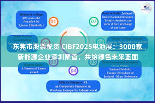 东莞市股票配资 CIBF2025电池展：3000家新能源企业深圳聚首，共绘绿色未来蓝图