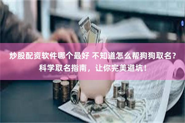 炒股配资软件哪个最好 不知道怎么帮狗狗取名？科学取名指南，让你完美避坑！