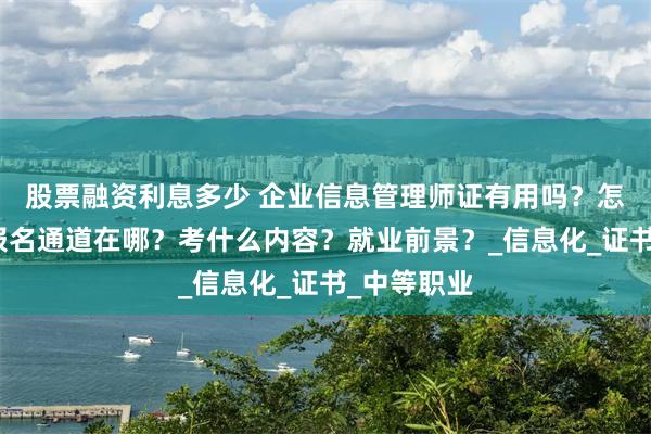 股票融资利息多少 企业信息管理师证有用吗？怎么拿证？报名通道在哪？考什么内容？就业前景？_信息化_证书_中等职业