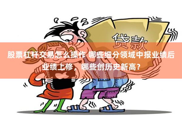 股票杠杆交易怎么操作 哪些细分领域中报业绩后业绩上修，哪些创历史新高？