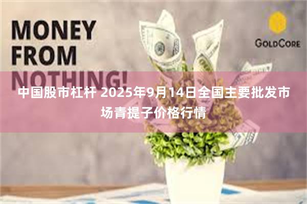 中国股市杠杆 2025年9月14日全国主要批发市场青提子价格行情