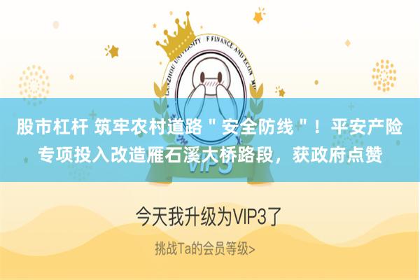 股市杠杆 筑牢农村道路＂安全防线＂！平安产险专项投入改造雁石溪大桥路段，获政府点赞